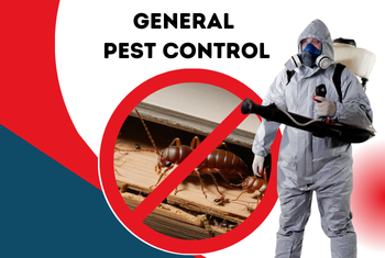 general pest control service image